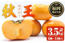 ＜先行予約受付中！2025年10月下旬～11月下旬に順次発送予定＞秋のフルーツの王様・ブランド柿 秋王 (計約3.5kg：6個～14個入り) かき カキ フルーツ 果物 くだもの 福岡限定 オリジナルブランド ＜離島配送不可＞【ksg1753】【農産物直売所ほたるの里】