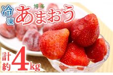 冷凍 博多あまおう (計約4kg) いちご イチゴ 苺 あまおう 冷凍いちご 冷凍イチゴ 国産 福岡県 果物 フルーツ アイス シャーベット ジャム スムージー 冷凍フルーツ ＜離島配送不可＞【ksg1745】【農産物直売所ほたるの里】