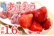 冷凍 博多あまおう (計約1.6kg) いちご イチゴ 苺 あまおう 冷凍いちご 冷凍イチゴ 国産 福岡県 果物 フルーツ アイス シャーベット ジャム スムージー 冷凍フルーツ ＜離島配送不可＞【ksg1744】【農産物直売所ほたるの里】