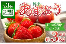 ＜全3回定期便・先行予約受付中！2026年2月上旬～2026年4月下旬に順次発送予定＞ 博多あまおう (総計約3kg) いちご 苺 フルーツ 果物 くだもの 福岡限定 家庭用 冷蔵 定期便 ＜離島配送不可＞【ksg1743】【農産物直売所ほたるの里】