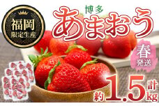 ＜先行予約受付中！2026年2月上旬～2026年4月下旬に順次発送予定＞ 博多あまおう・春 (計約1.5kg) いちご 苺 フルーツ 果物 くだもの 福岡限定 家庭用 冷蔵＜離島配送不可＞【ksg1741】【農産物直売所ほたるの里】