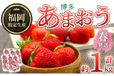 ＜先行予約受付中！2026年2月上旬～2026年4月下旬に順次発送予定＞ 博多あまおう・春 (計約1kg) いちご 苺 フルーツ 果物 くだもの 福岡限定 家庭用 冷蔵＜離島配送不可＞【ksg1740】【農産物直売所ほたるの里】