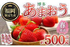 ＜先行予約受付中！2026年2月上旬～2026年4月下旬に順次発送予定＞ 博多あまおう・春 (計約500g) いちご 苺 フルーツ 果物 くだもの 福岡限定 家庭用 冷蔵＜離島配送不可＞【ksg1739】【農産物直売所ほたるの里】