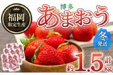 ＜先行予約受付中！2025年12月上旬～2026年1月下旬に順次発送予定＞ 博多あまおう・冬 (計約1.5kg) いちご 苺 フルーツ 果物 くだもの 福岡限定 家庭用 冷蔵＜離島配送不可＞【ksg1738】【農産物直売所ほたるの里】