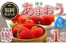 ＜先行予約受付中！2025年12月上旬～2026年1月下旬に順次発送予定＞ 博多あまおう・冬 (計約1kg) いちご 苺 フルーツ 果物 くだもの 福岡限定 家庭用 冷蔵＜離島配送不可＞【ksg1737】【農産物直売所ほたるの里】