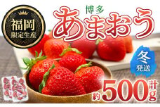 ＜先行予約受付中！2025年12月上旬～2026年1月下旬に順次発送予定＞ 博多あまおう・冬 (計約500g) いちご 苺 フルーツ 果物 くだもの 福岡限定 家庭用 冷蔵＜離島配送不可＞【ksg1736】【農産物直売所ほたるの里】