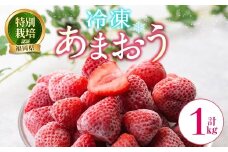 冷凍あまおう (計1kg) いちご イチゴ 苺 あまおう 冷凍いちご 冷凍イチゴ 国産 福岡県 特別栽培 果物 フルーツ アイス ジャム 冷凍フルーツ ＜離島配送不可＞【ksg1785】【うるう農園】