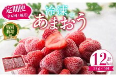 ＜全6回定期便(隔月)＞冷凍あまおう（計12kg:2kg×6回) いちご イチゴ 苺 あまおう 冷凍いちご 冷凍イチゴ 国産 福岡県 特別栽培 果物 フルーツ アイス ジャム 冷凍フルーツ ＜離島配送不可＞【ksg1787】【うるう農園】