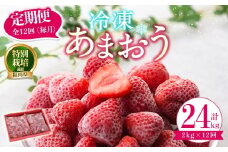 ＜全12回定期便(毎月)＞冷凍あまおう（計24kg:2kg×12回) いちご イチゴ 苺 あまおう 冷凍いちご 冷凍イチゴ 国産 福岡県 特別栽培 果物 フルーツ アイス ジャム 冷凍フルーツ ＜離島配送不可＞【ksg1788】【うるう農園】