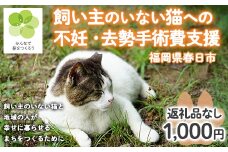 飼い主のいないねこと地域の人が幸せに暮らせるまちづくり支援 (返礼品なし) 猫 ねこ 支援  TNR活動 去勢 【ksg1784】【福岡県春日市】