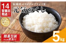 ＜訳あり・簡易包装＞＜数量限定＞元気つくし 精白米 (5kg)お米 米 精白米 訳あり 国産 福岡県産 ブランド米 5kg 数量限定 常温＜北海道・沖縄・離島配送不可＞【ksg1780】