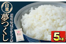 ＜令和7年産＞福岡県産ブランド米「夢つくし」白米(5kg)お米 白米 5キロ ごはん ご飯【ksg0370】【朝ごはん本舗】