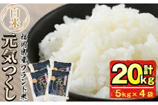 ＜先行予約受付中！2025年11月初旬から順次発送予定＞＜令和7年産＞福岡県産ブランド米「元気つくし」白米(計20kg・5kg×4袋)お米 20キロ ごはん ご飯 【ksg0380】【朝ごはん本舗】