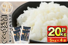 ＜先行予約受付中！2025年11月中旬から順次発送予定＞＜令和7年産＞福岡県産ブランド米「元気つくし」無洗米(計20kg・5kg×4袋) お米 20キロ ごはん ご飯【ksg0381】【朝ごはん本舗】