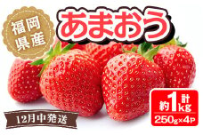 ＜先行予約受付中！2025年12月より順次発送予定＞福岡県産 あまおう(計約1kg・250g×4P)いちご 苺 フルーツ 果物 くだもの 冷蔵 ＜離島配送不可＞【ksg1488】【エフビーネット】