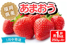 ＜先行予約受付中！2026年1月より順次発送予定＞福岡県産 あまおう(計約1kg・250g×4P)いちご 苺 フルーツ 果物 くだもの 冷蔵 ＜離島配送不可＞【ksg1490】【エフビーネット】