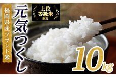 ＜先行予約受付中！2025年10月に順次発送予定・数量限定＞JAよりお届け！福岡県産米 元気つくし (計10kg)お米 おこめ 米 こめ コメ 白米 福岡県産 ブランド米 常温 常温保存【ksg1814】【農産物直売所ほたるの里】
