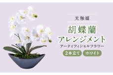 アーティフィシャルフラワー胡蝶蘭アレンジメント光触媒 (ホワイト)【1033169】