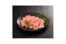 福岡県産・A5博多和牛肩ロース焼肉用　600g(300g×2パック)【1099720】