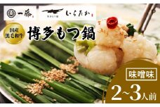 ＜もつ鍋一藤＞ 国産黒毛和牛肉のもつ鍋味噌(2～3人前・濃縮スープ)_ 鍋 もつ モツ鍋 モツ みそ味 味噌味 鍋セット 福岡 福岡県 大野城市 人気 ふるさと ちゃんぽん 麺 【1100038】