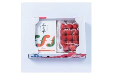＜11月下旬より順次発送＞博多名物「あまおう」&ふくや「味の明太子」(大)(大野城市)【1102518】