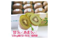 福岡限定!ブランドキウイ「甘うぃ(あまうぃ)」約1.5kg箱(12-15玉)(大野城市)_ キウイ キウイフルーツ フルーツ 果物 くだもの ふるーつ 青果 国産 産地直送 ブランド 福岡 高糖度 送料無料 贈答 ギフト プレゼント 【1125950】
