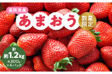 ＜数量限定＞2026年2月より順次発送 福岡県産あまおう4パック_ いちご 苺 イチゴ フルーツ 果物 くだもの ふるーつ 青果 産直 産地直送 あまおう 国産 甘い 人気 ギフト プレゼント 贈り物 送料無料 【1211836】