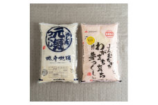 果物屋さんが選んだ米食べ比べ「夢つくし&元気つくし」5kg×2袋(大野城市)【1139464】