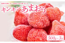福岡産冷凍あまおう500g×3袋(大野城)【1221321】