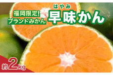 福岡限定!オリジナルブランドみかん「早味かん」約2kg(大野城市)_ フルーツ 柑橘 ミカン 蜜柑 果物 くだもの 美味しい 人気 送料無料 柑橘類 【1091055】