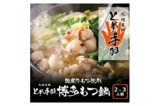 九州名物とめ手羽　博多もつ鍋セット　2-3人前　九州しょうゆ味(大野城市)【1230915】