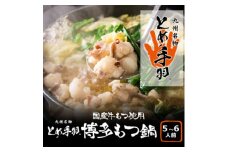 九州名物とめ手羽　博多もつ鍋セット　5-6人前　九州しょうゆ味(大野城市)【1230918】