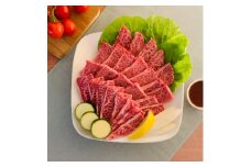 ＜博多和牛＞焼肉用　(合計500g)_ 赤身 バラ 肩ロース ウデ モモ 国産牛 お肉 牛肉 焼肉 冷凍 送料無料 黒毛和牛 国産 九州産 福岡県産 産直 産地直送 【1232081】
