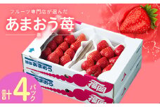 ＜2026年発送先行受付＞フルーツ専門店が選んだ「あまおう苺」春250g×4パック(大野城市)【1083237】