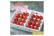 ＜11月下旬より順次発送＞フルーツ専門店が選んだ「あまおう苺」ギフト箱(24-30粒)(大野城市)【1083230】