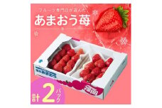 ＜11月下旬より順次発送＞フルーツ専門店が選んだ「あまおう苺」冬250g×2パック(大野城市)【1083235】