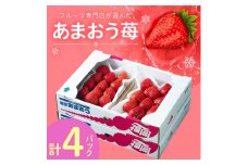 ＜11月下旬より順次発送＞フルーツ専門店が選んだ「あまおう苺」冬4パック(大野城市)【1083236】