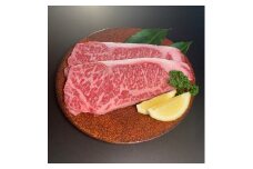 ＜博多和牛＞サーロインステーキ500g(250g×2枚)【1259479】