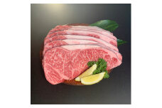 ＜博多和牛＞サーロインステーキ2000g(250g×8枚)【1259482】