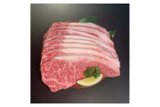 ＜博多和牛＞サーロインステーキ2500g(250g×10枚)【1259483】