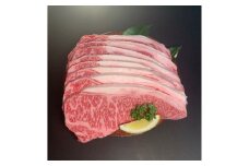 ＜博多和牛＞サーロインステーキ2500g(250g×10枚)【1259483】