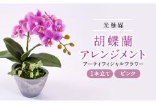 光触媒胡蝶蘭(アーティフィシャルフラワー)1本立て(ピンク)【1315295】