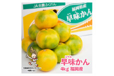 福岡限定!オリジナルブランドみかん「早味かん」約4kg(大野城市)【1091056】