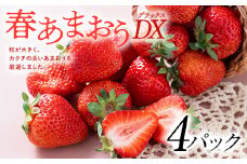 ＜2026年発送先行受付＞フルーツソムリエが選んだ＜春＞あまおうDX(デラックス)4パック【1353642】
