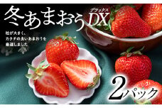 ＜11月下旬より順次発送＞フルーツソムリエが選んだ＜冬＞あまおうDX(デラックス)2パック【1353643】