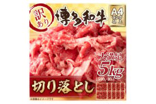 訳アリ!＜A4～A5＞博多和牛切り落とし　5kg(500g×10パック)_ 訳あり ワケアリ わけあり 肉 牛肉 和牛 切り落し 切り落とし 黒毛和牛 博多和牛 小分け ブランド牛 国産牛 国産 不揃い 冷凍 A4 A5 500g 規格外 【1370647】