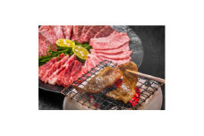 2023年2月発送開始『定期便』博多和牛A5焼き肉用＜厳選部位＞(500g)全6回【5100601】