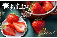 ＜2026年発送先行受付＞春にお届け!福岡産はるあまおう3パック【1333571】