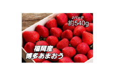 ＜11月下旬より順次発送＞農家直送 朝採り新鮮いちご＜博多あまおう＞約270g×2パック【1400413】