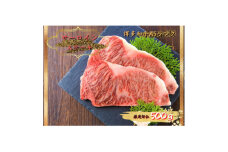 2023年7月発送開始『定期便』博多和牛A5サーロインステーキ500g(250g×2枚)全6回【5100570】